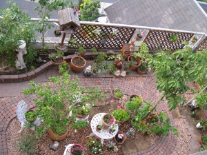 IMG_0138