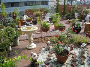 IMG_0239 IMG_0239